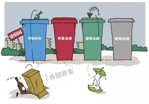 垃圾分类强制时代来临 一份实用指南教你轻松分类